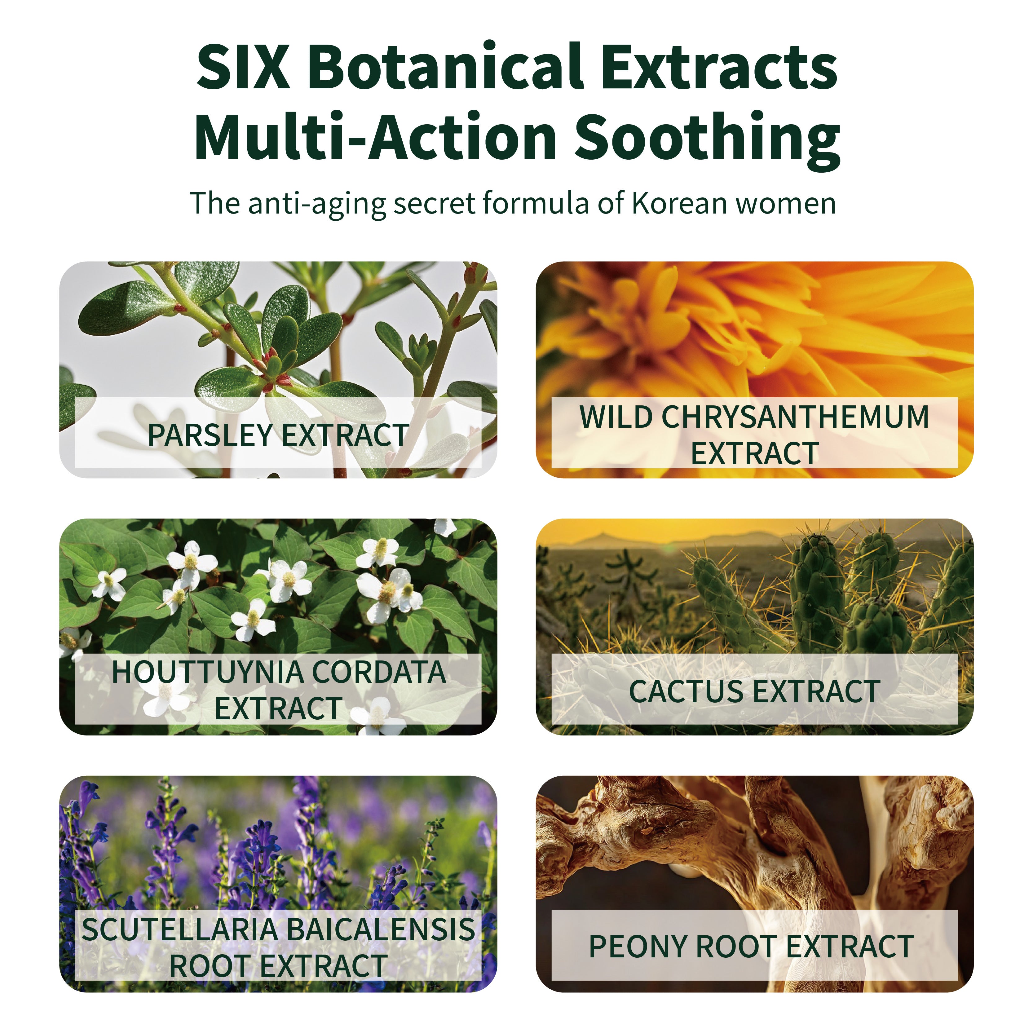 RainforestSecretGuard Antibacterial Quick-Cleanse Wipes