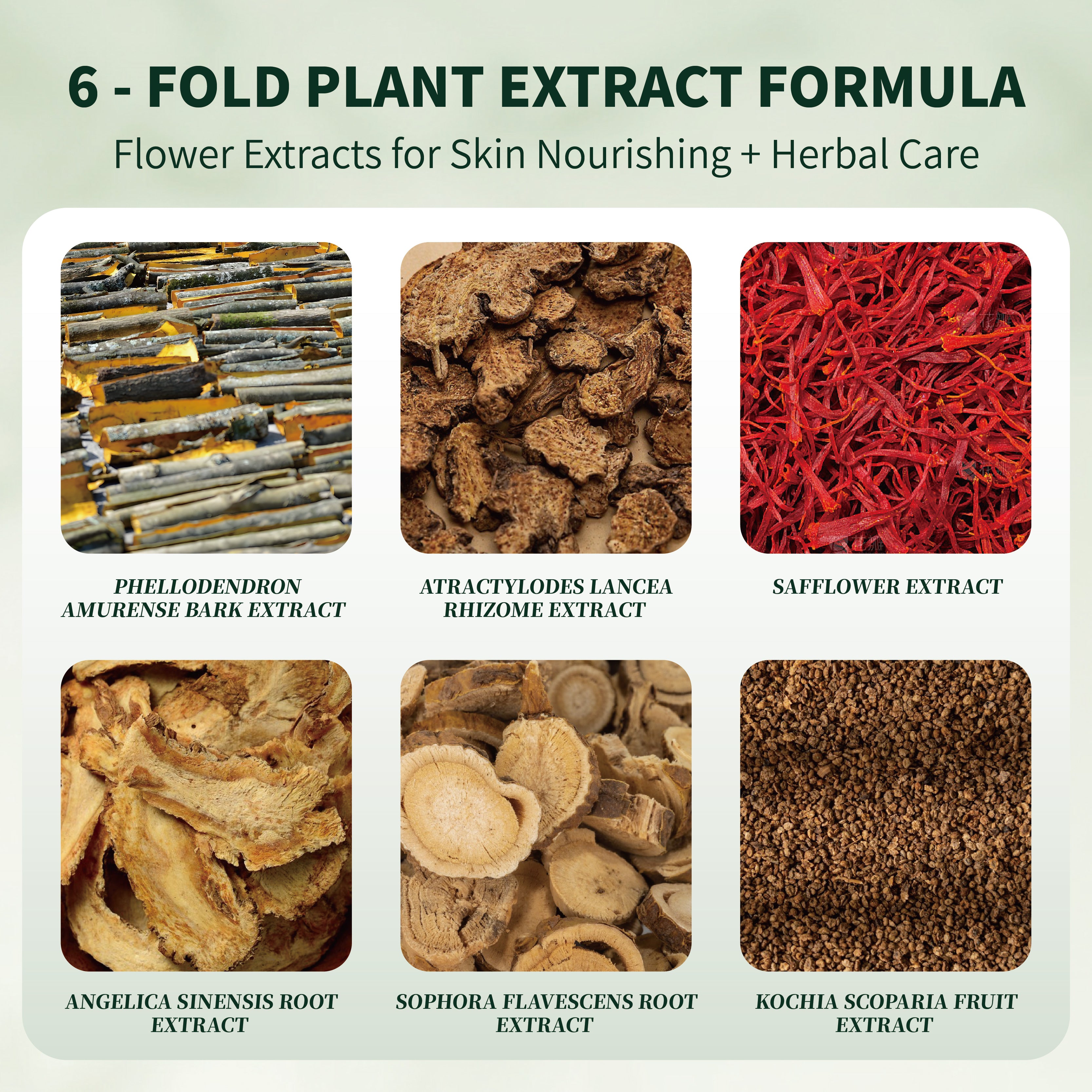 ALL-IN-ONE MOUSSE 200ml